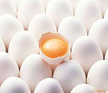 فواید خوردن تخم مرغ برای سلامت اعضای بدن-از مقالات وبسایت فروشگاه اینترنتی بستنی نوبهار